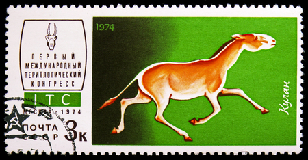 MOSCOW, RUSSIA - NOVEMBER 10, 2018: A stamp printed in USSR (Russia) shows Turkmenian Kulan (Equus hemionus kulan), 1st International Theriological Congress (ITC) serie, circa 1974のeditorial素材