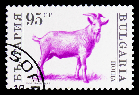 MOSCOW, RUSSIA - FEBRUARY 9, 2019: A stamp printed in Bulgaria shows Billy Goat (Capra hircus), Domesticated animals serie, circa 1992のeditorial素材