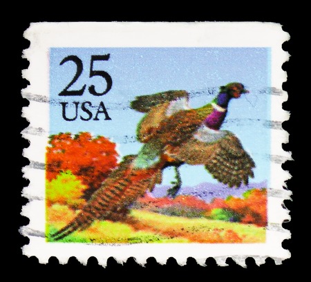 MOSCOW, RUSSIA - FEBRUARY 10, 2019: A stamp printed in United States shows Common Pheasant (Phasianus colchicus), 1987-1988 Regular Issue serie, circa 1988のeditorial素材
