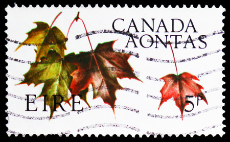 MOSCOW, RUSSIA - FEBRUARY 21, 2019: A stamp printed in Ireland shows Maple Leaves, Canadian Centennial serie, circa 1967のeditorial素材