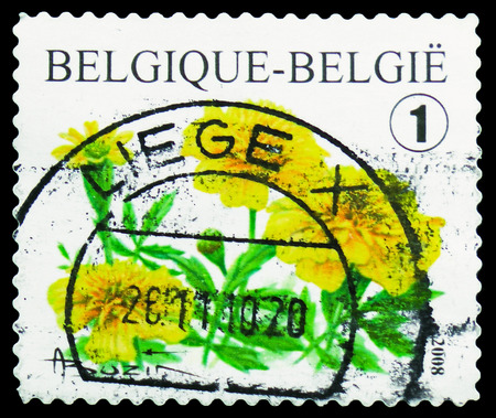 MOSCOW, RUSSIA - FEBRUARY 21, 2019: A stamp printed in Belgium shows Tagetes portula Selfadhesive Roll stamp, Flowers serie, circa 2008のeditorial素材