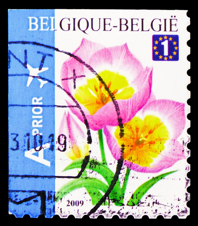 MOSCOW, RUSSIA - FEBRUARY 21, 2019: A stamp printed in Belgium shows Tulip Bakeri Selfadh. Top imperforate, Flowers serie, circa 2009のeditorial素材