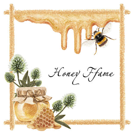Clipart bee frame honey, pastel drawing. Hand draw pastel illustrations on white layer. honey collectionの写真素材