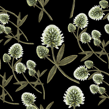 Mountain clover on a black background, pastel drawing, seamless pattern for clothing design, textiles.の写真素材