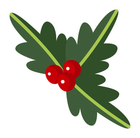 Holly icon. Christmas red berries. Holiday decorationのイラスト素材