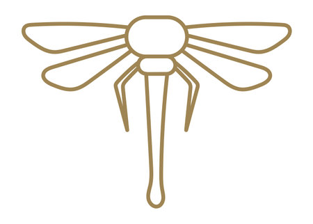 Dragonfly icon. Golden linear  . Flight symbolのイラスト素材