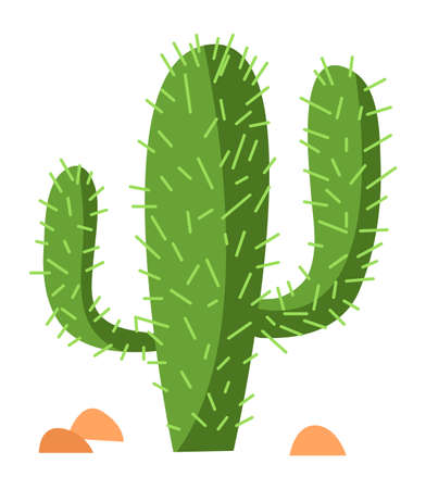Cactus in trendy hand drawn style. Cute green succulentのイラスト素材