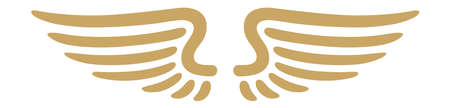 Golden wings insignia. Vintage angel feathers symbolのイラスト素材
