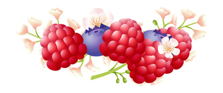 Ripe berries pile. Raspberry and blueberry bunch with wild flowersのイラスト素材