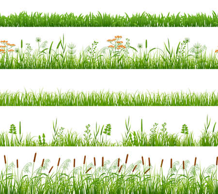 Green grass seamless pattern. Backyard plants, meadow or garden borders. Decorative lawn flowers, spring summer weeds. Exact vector greeny texturesのイラスト素材