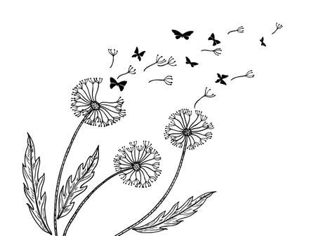 Dandelion background. Dandelions seeds flight, blow wind metaphor. Abstract flower and butterfly silhouettes. Relaxing art, freedom neoteric vector bannerのイラスト素材
