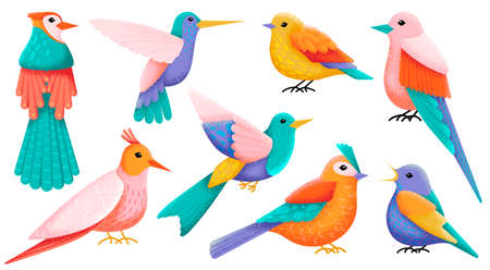Flat decorative birds. Exotic bird, folk colorful animals. Isolated flying hummingbird. Modern art, textured wild forest elements. Swanky woodland vector charactersのイラスト素材
