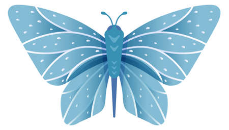 Delicate blue wings insect. Decorative pattern butterfly