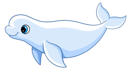 Beluga baby. Arctic sea animal. Cartoon characterのイラスト素材