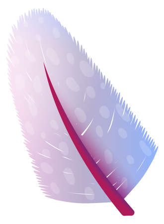 Plumage feather. Smooth color ornamental bird quillのイラスト素材