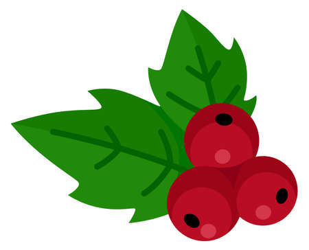 Holly plant. Cartoon christmas red berry decorationのイラスト素材