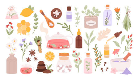 Homeopathy supplement and herb medical set. Beauty medicine cosmetic, alternative herbal pharmacy. Aromatherapy and wellness racy vector elementsのイラスト素材