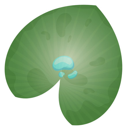 Green leaf. Water plant foliage top viewのイラスト素材