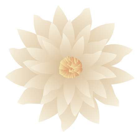 White lotus flower. Realistic blossom top viewのイラスト素材