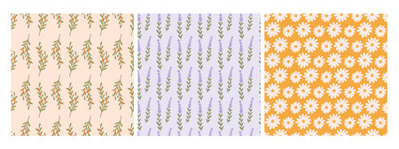 Mono flowers seamless patterns. Lavender chamomile and sea buckthorn branch. Cozy romantic trendy...