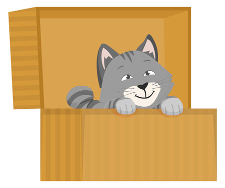 Kitten hide in box. Playing cat. Cute petのイラスト素材