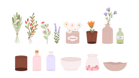 Medicinal herbs, flowers in vases and glasses, empty bottles and bowls. Cozy home collection, decor and crockery. Chamomile and lavender, herbal vector setのイラスト素材