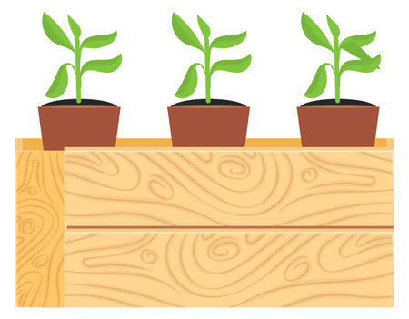 Seedling in wooden crate. Growing green plants cartoon iconのイラスト素材