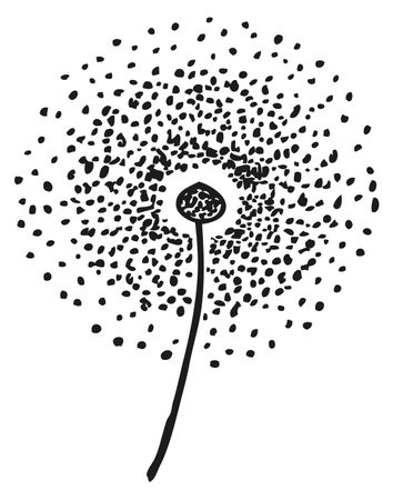Decorative dandelion sketch. Hand drawn ink flowerのイラスト素材