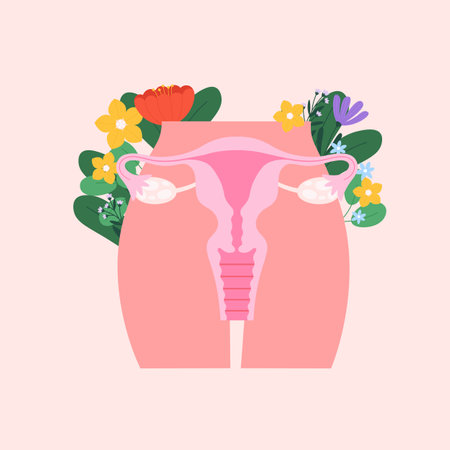 Female reproductive system poster. Women period, healthy maternity and pregnancy. Uterus and ovaries, cartoon gynecology vector illustrationのイラスト素材