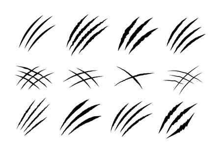 Black claw scratches. Bear tiger claws trails, animal scratched white paper. Lion or dinosaur flat scratch marks, racy wild beast tracks vector clipartのイラスト素材