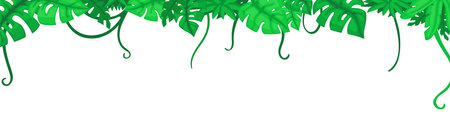 Green tropical leaves, jungle cartoon leaf banner, Empty exotic frame, decorative tropical forest foliage vector backgroundのイラスト素材