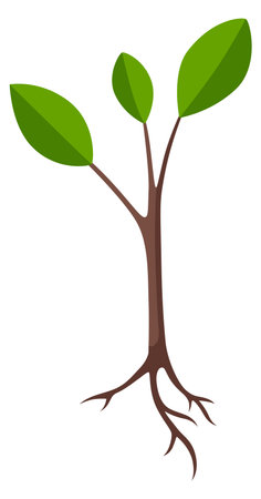 Seedling icon. Green tree seed growing plantのイラスト素材