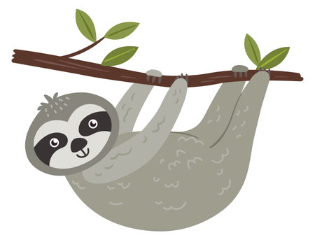Sloth hanging from tree branch. Tropical animal characterのイラスト素材