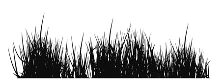 Black grass silhouette. Nature plant horizontal borderのイラスト素材