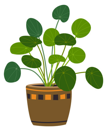Pilea indoor plant. Flowerpot with green house decorationのイラスト素材