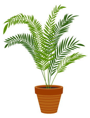 Parlor palm pot. Exotic houseplant. Home jungleのイラスト素材