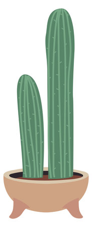 Succulent in ceramic pot. Green cactus home decorationのイラスト素材