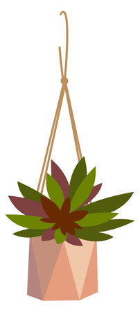 Hanging flowerpot with cute green plant. House decorationのイラスト素材