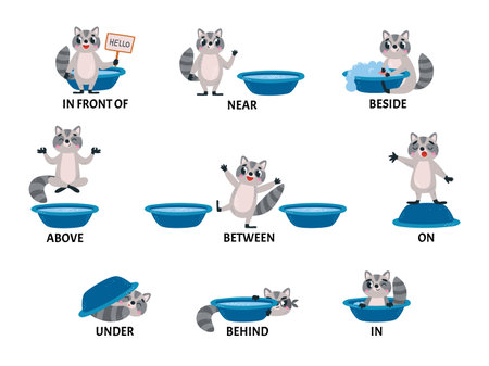 English prepositions poster with funny raccoon. Kids language education play, infographics with animal. Preschool classy vector cartoon bannerのイラスト素材