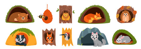 Animals inside burrows and hollows. Wild animal sleep, woodland children cute characters. For wolf in burrows, squirrel in hollow tree classy vector setのイラスト素材