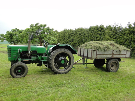 Harvest of hay in the gardenの写真素材