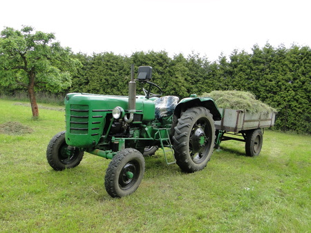 Harvest of hay in the gardenの写真素材