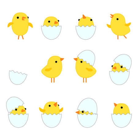 Cute cartoon funny yellow chickens in different poses with eggshell. Vector illustration for for...