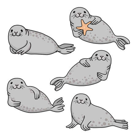 Set of gray fur seals. Vector hand drawn cute cartoon fur seal isolated on white background. Ocean animal illustration.のイラスト素材