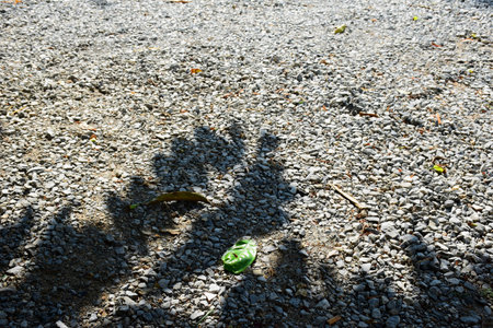 Shadow on the ground.Thailandの写真素材