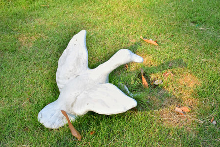 Duck statue on the grass.の写真素材