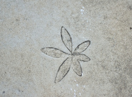 Leaf print on concrete.の写真素材