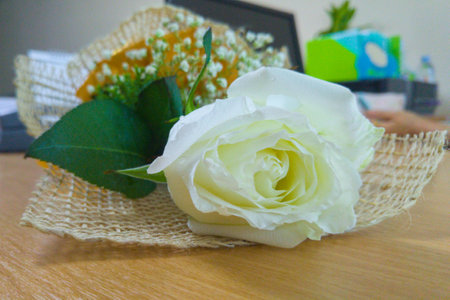 White rose for congratulation .の写真素材
