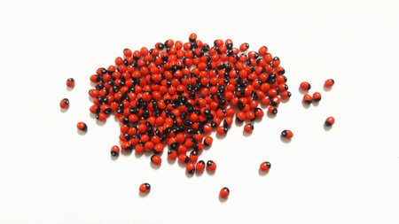Buddhist Rosary Bean.の写真素材