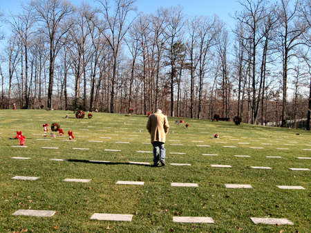 Solitary senior man walks through a national cemetery on Christmasの写真素材